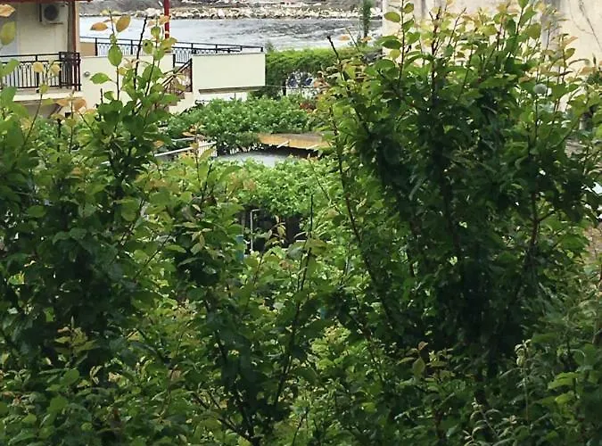 Venia's House Апартаменты Скала-Потамиас