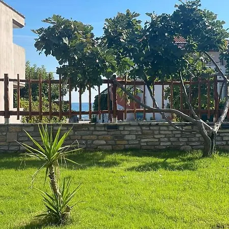 Venia's House
